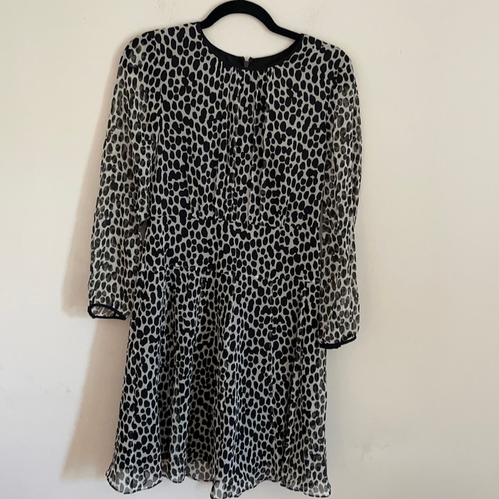 J.Crew Silk Dress 4